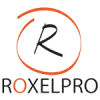 RoxelPro