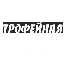 Наклейка 9 МАЯ вырез. (пл.) Трофейная (110х630) надпись цвет белый _