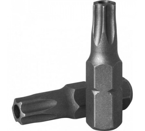 Вставка 1/4 T-TORX T10H 25 мм / OMBRA